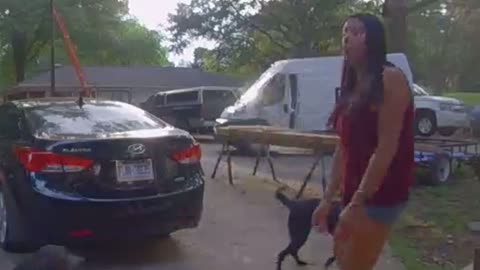 Amazon Driver Surprised by Excited Dogs