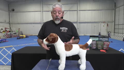 Hand Stacking Show Dogs with gokumon