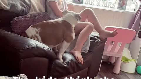 Kids Laugh at Doggo's "Twerk"