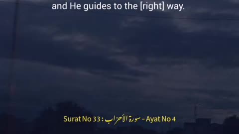 Surah ahzab ayat 4 Urdu Translation English translation #JazakAllah111 #quran
