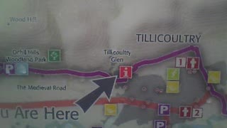 TILLICOULTRY GLEN