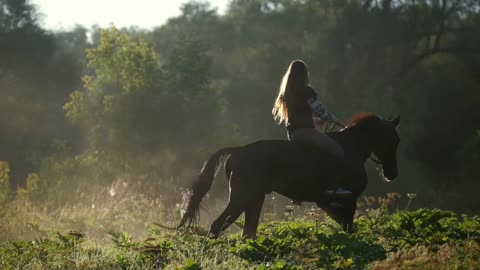 Girl rider with long hair riding a horse rides on the green edge near the forest at dawn