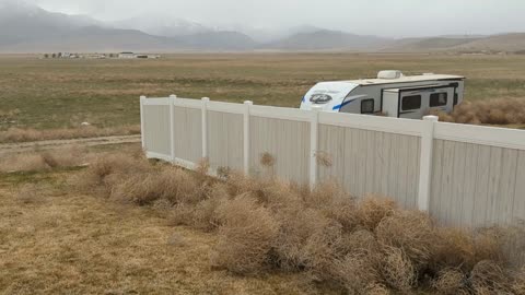 Tumbleweed Invasion