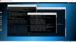 Hacking with Kali Linux 13/22