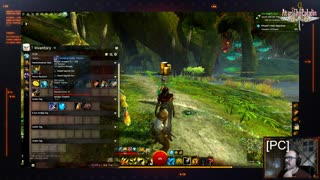 Guild Wars 2 Pt2