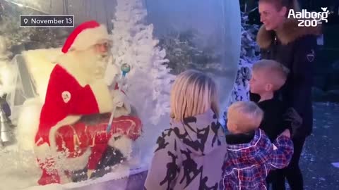 Santa Greets Children From Inside Giant Snow Globe at Denmark Zoo