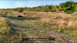 🤖 Ukraine Russia War | Russians Test Demining Robots Donated by Inta Residents | RCF