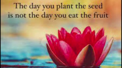 THE DAY YOU PLANT THE SEED IS NOT THE DAY YOU EAT THE FRUIT