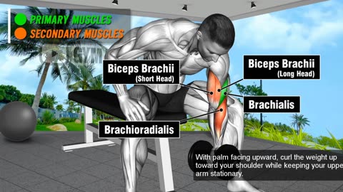 Best Exercise For Biceps Workout At Gym 8-9 Best Exercises For Biceps. GYM BODY MOTIVATION