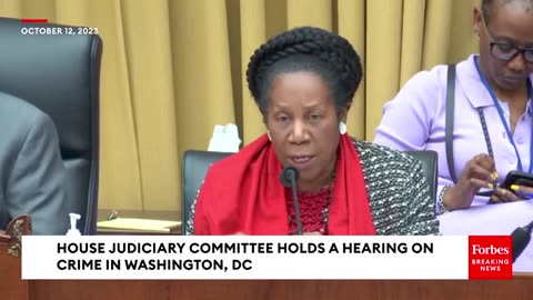 JUST IN- Sheila Jackson Asks DC Deputy Mayor- 'What Is The District Doing To Address Carjackings-'