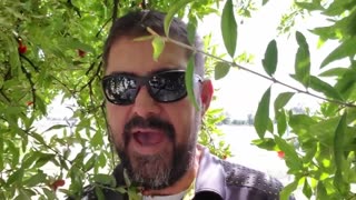 INSTANT DELIVERANCE PRAYER by Brother Carlos Oliveira Spiritual Warfare Prayers #Jesus #God #prayer