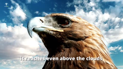 The power of Eagle mind set | best Motivation video | tatia