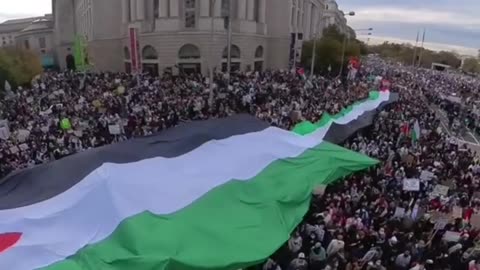 Washington D.C. Pro-Palestine Protest against Israel and Jews #shorts