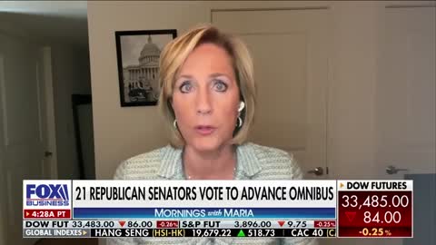 Rep. Claudia Tenney slams omnibus bill as 'biggest ugly' in 'recent memory'