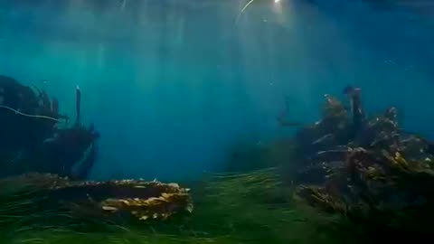 Under water View