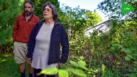 Grandma caught with marijuana plant in Massachusetts