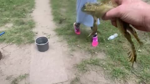 Annabelle’s first real frog
