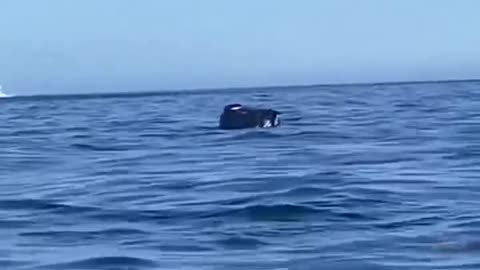 España | Un coche se cae de un ferry que iba de La Gomera a Tenerife.