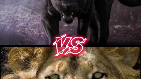 Animals fight( part 1)🥶🤯 #shorts #animals #viral #shortfeed #fight #youtubeshorts #trending