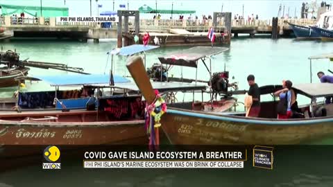 COVID-19 pandemic breathes fresh life into the ecosystem of Thailand's Phi Phi Islands | WION