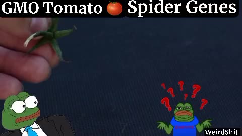 DID U KNOW 😱THAT THEY PUT SPIDER GENES IN THE GMO TOMATOES?