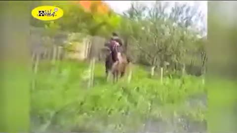 Hilarious Horse Bloopers: Best Fails of April 2015 in Funny Animal Videos