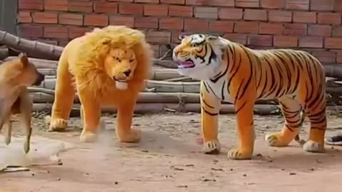 Troll Prank Dog Funny & fake Lion and Fake Tiger Prank To dog & Huge Box Prank to dog