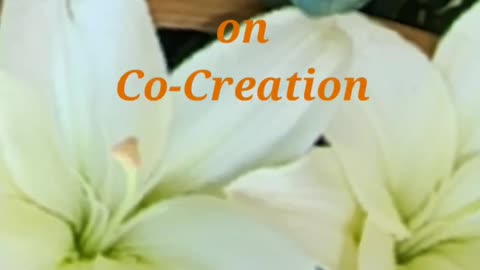 Co Creation