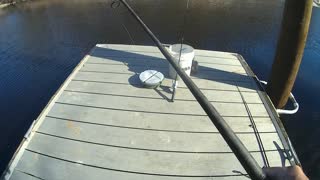 Waccamaw river bank fishing in December