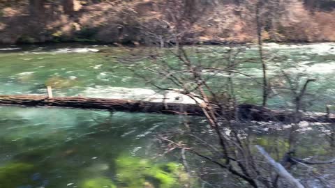 Chernobyl Green Glow to Metolius River – Central Oregon