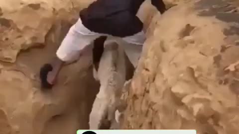 Viral Saudi man save Baby Camel