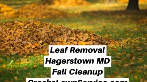 Leaf Removal Hagerstown MD Fall Cleanup Video