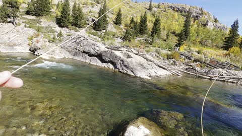 Fishing for Cutbow Trout