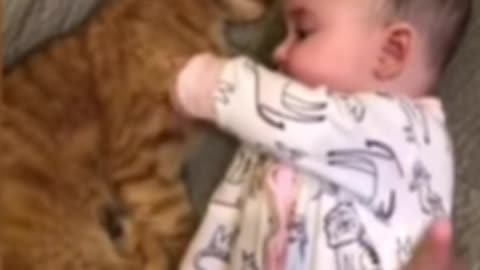 Did you see the cat sleeping next to the child?