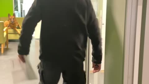 Coworker Gets Spooked at Work