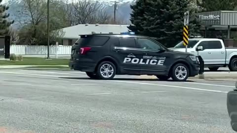 Utah: West Jordan police helps ducks cross the street.