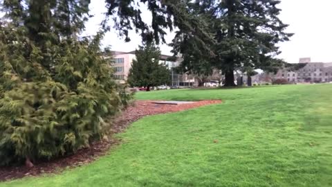 Raw Footage: Law Enforcement Prepares For Trouble At Washington State Capitol