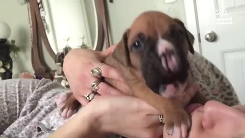 2O MINUTE WITH ADORABLE PUPPIES'