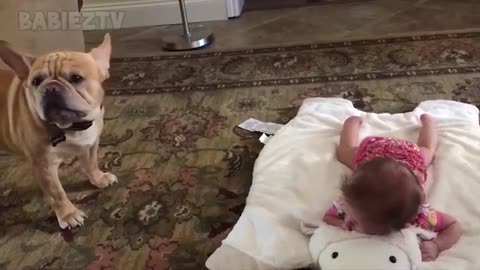 Adorable Babies Playing With Dogs and Cats - Funny Babies Compilation 2021