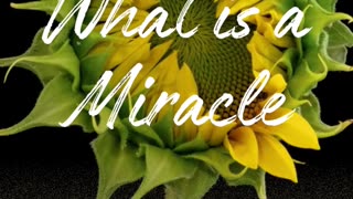 WHAT IS A MIRACLE
