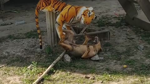 Prank dog vs fake tiger run run run part 1..