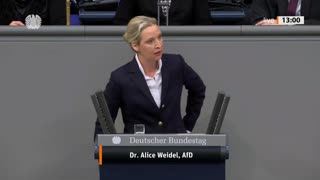 Dr. Alice Weidel Rede vom 31.01.2024 – Bundeskanzler und Bundeskanzleramt, Unabhängiger Kontrollrat