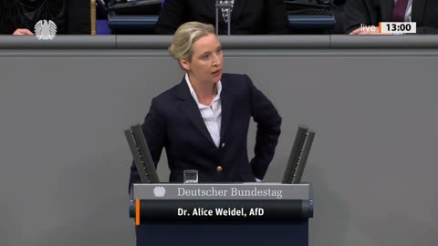 Dr. Alice Weidel Rede vom 31.01.2024 – Bundeskanzler und Bundeskanzleramt, Unabhängiger Kontrollrat