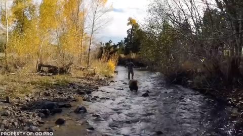 Lion Sees Her Adoptive Dad After 7 Years...