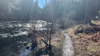 Hiking Beside a Gorgeous River – Metolius River – Central Oregon