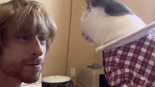 Cat Slaps Man in the Face