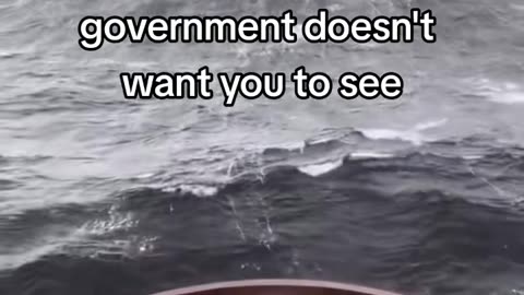 The goverment does not want you too see this!