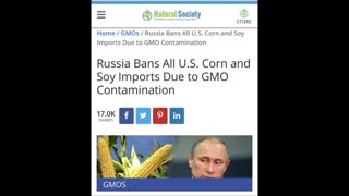Russia bans GMOs - Lets do the same!