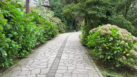 A walk around Lago Negro, Gramado Brazil.