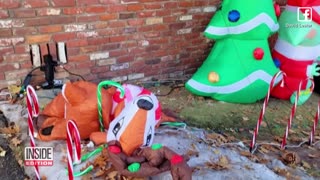 Bear Viciously Attacks Rudolph